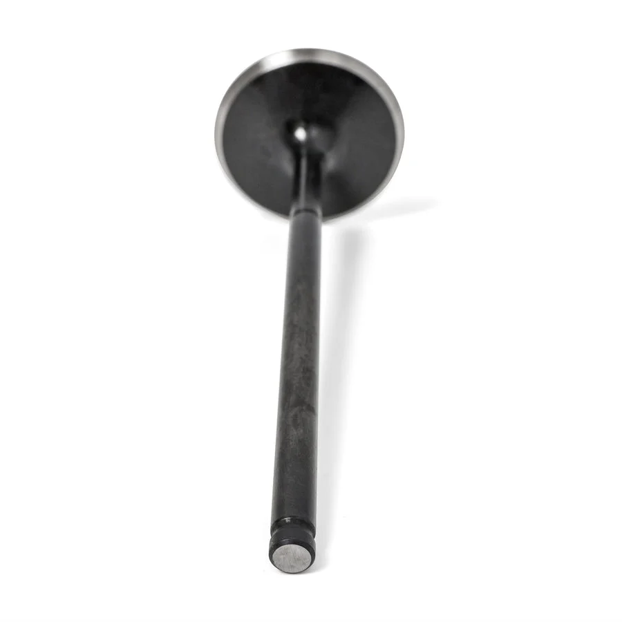 BLOX Racing High Compression 36mm Intake Valves - Honda S2000 F20C/F22C - Image 4