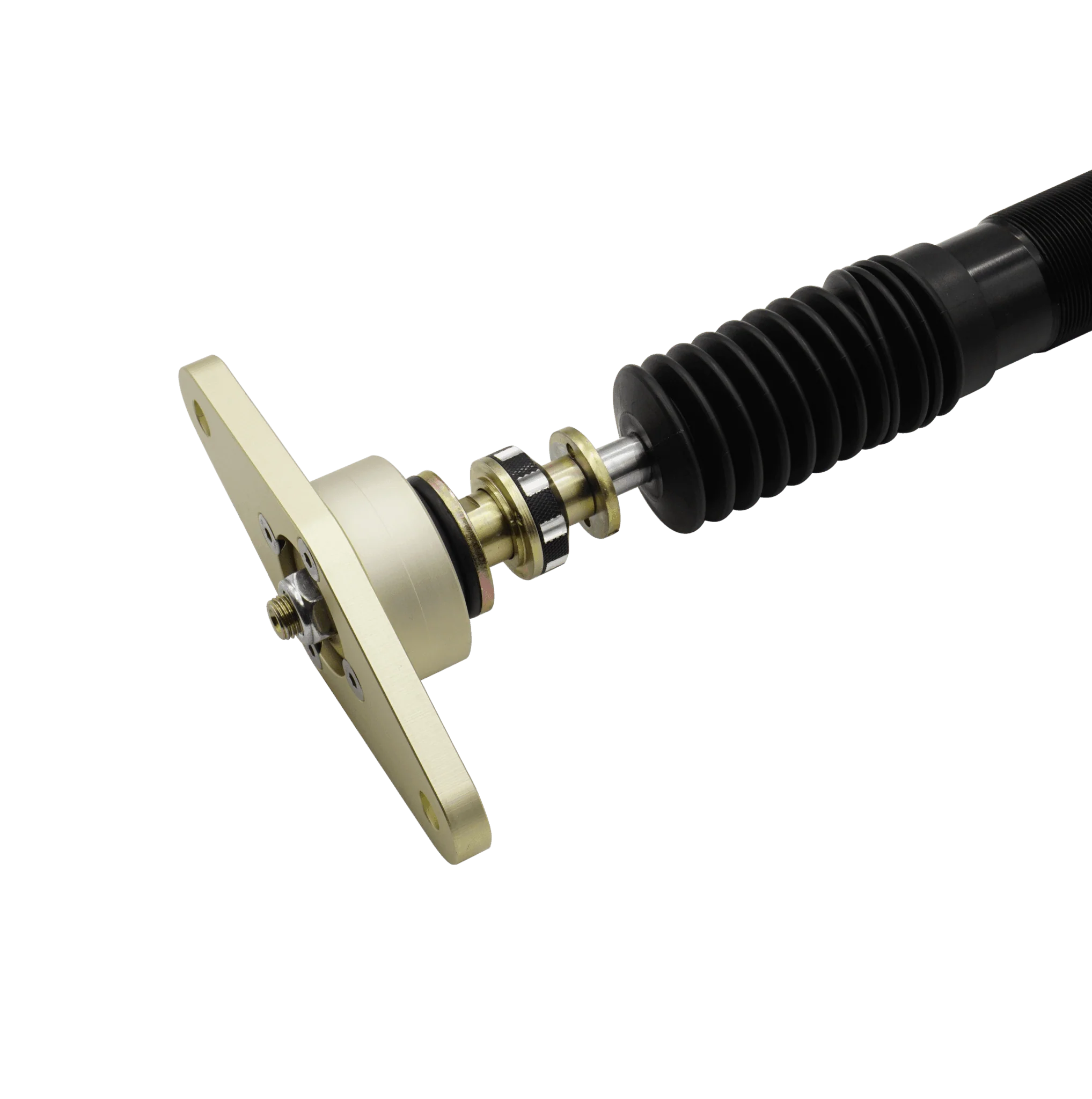 BLOX Racing Plus Series Pro Coilovers - 17-22 Model 3 RWD - Image 10