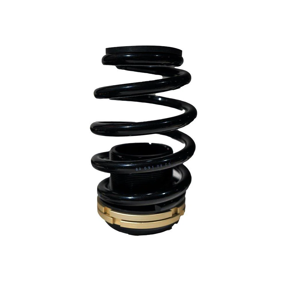 BLOX Racing Plus Series Pro Coilovers - 14-15 Civic Si - Image 4