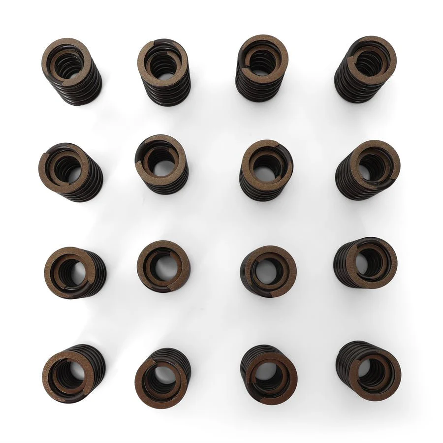 BLOX Racing Valve Springs - F-Series DOHC VTEC - Image 4